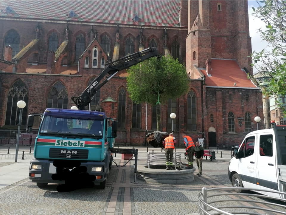 475775264_608961765210669_2254291161190122557_n